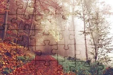 TOAMNA jigsaw puzzle