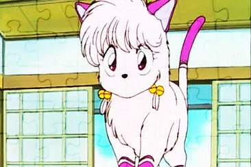 shampoo gatita ranma 1/2