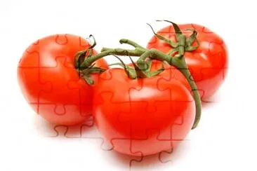 פאזל של tomato