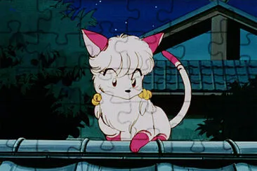 shampoo gatita ranma 1/2