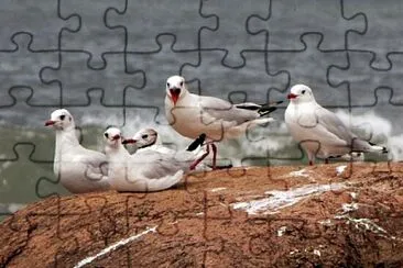 Aves del Uruguay jigsaw puzzle