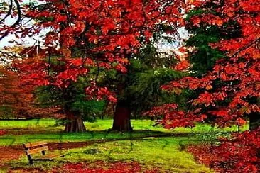 otoÃ±o rojo