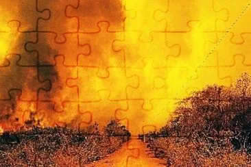 Eu fiz isso para mostrar que e pantanal importa. jigsaw puzzle