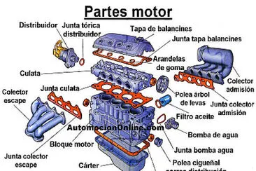 REPASO GRADO 8