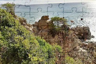 paysage jigsaw puzzle