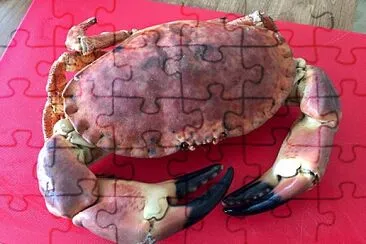 Giant Crab for Dinner jigsaw puzzle