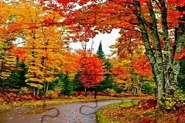 otoÃ±o color jigsaw puzzle