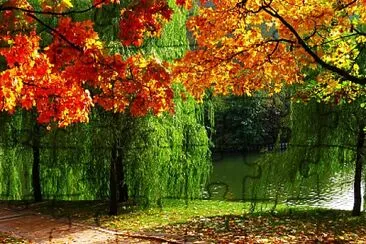 otoÃ±o green jigsaw puzzle