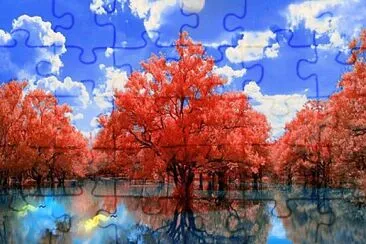 imagem jigsaw puzzle