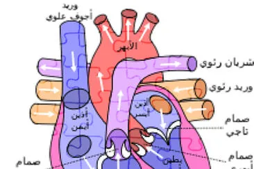 Ø§Ù„Ù‚Ù„Ø¨ jigsaw puzzle