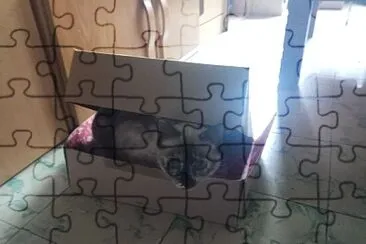 Encajada.... jigsaw puzzle