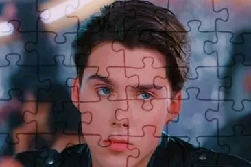  jigsaw puzzle