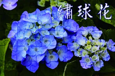 ç¹¡çƒèŠ±