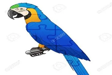 blue macaw puzzle