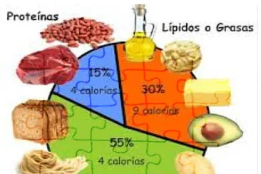 carbohidratos, lipidos y proteinas