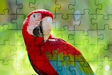 Vuela 1 jigsaw puzzle