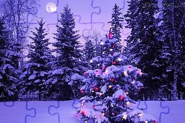 Natal jigsaw puzzle