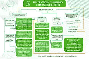 RUTA DE EMBARAZO