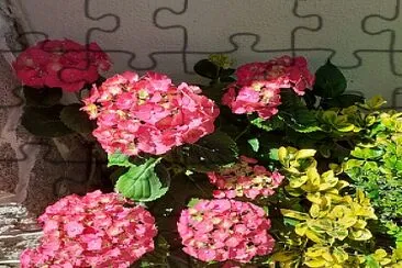 FLOWERS jigsaw puzzle