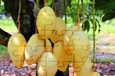 imagem jigsaw puzzle