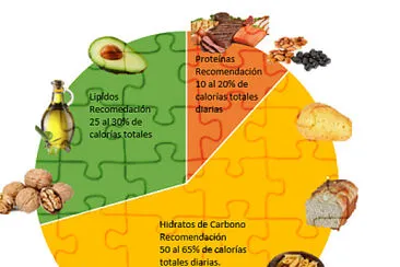 RecomendaciÃ³n de Macro nutrimentos