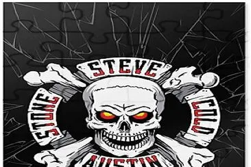 steve austin