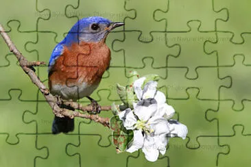 imagem jigsaw puzzle