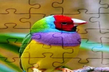 fly17 jigsaw puzzle