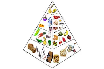 Piramida alimentelor jigsaw puzzle