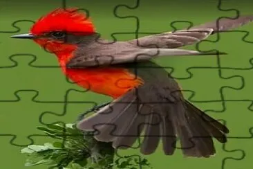 fly26 jigsaw puzzle