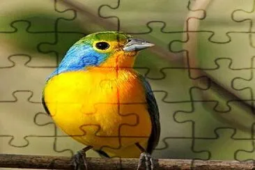 fly29 jigsaw puzzle