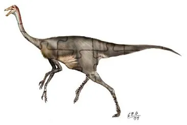 פאזל של Gallimimus