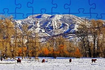 imagem jigsaw puzzle