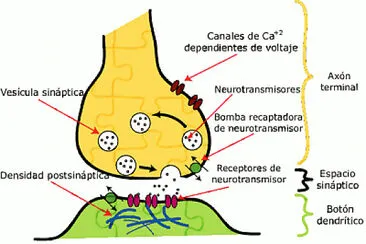 Resuelve el siguiente rompecabezas