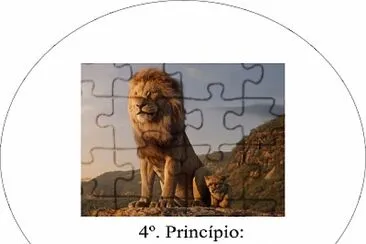 PRINCIPIO 4