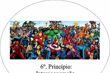 PRINCIPIO 6