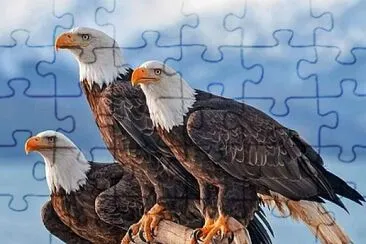 CENÃRIO K265 jigsaw puzzle