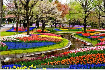 Magical gardens of Japan jigsaw puzzle