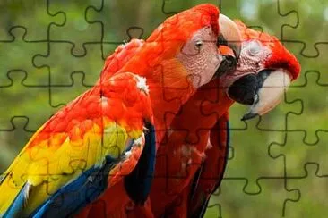 aex4 jigsaw puzzle