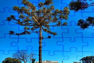 imagem jigsaw puzzle