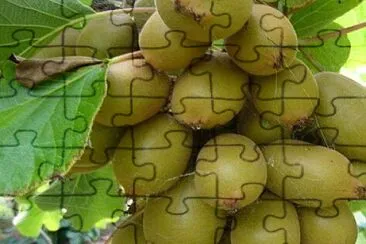 imagem jigsaw puzzle