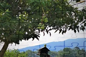 AVISTAMIENTO DE AVES