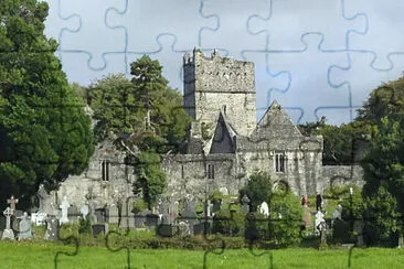 Muckross Abbey - Ireland