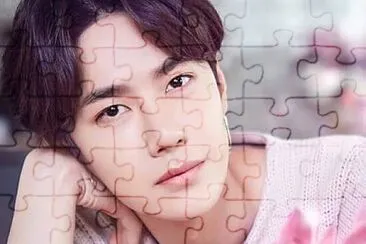 Chinese actor Wang Yibo jigsaw puzzle