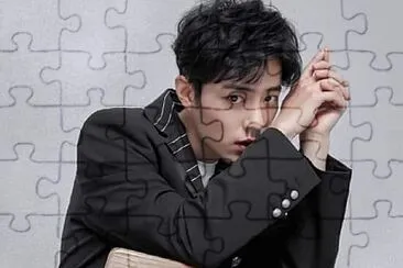 Chinese actor Xiao Zhan jigsaw puzzle