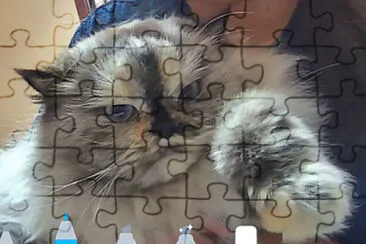 Kiki jigsaw puzzle