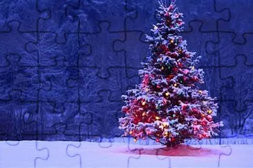 Natal jigsaw puzzle