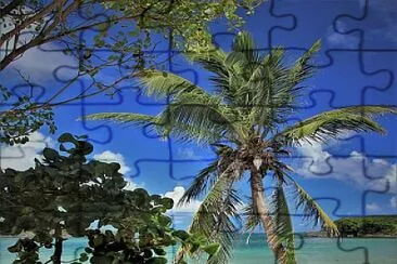 Madinina jigsaw puzzle