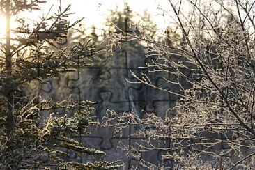 Early morning frost in woods jigsaw puzzle