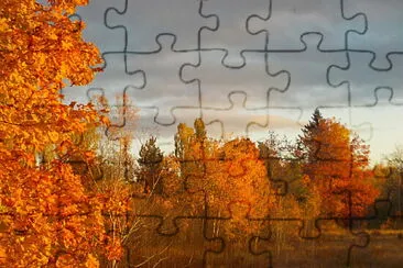 Orange sunrise on orange leaves jigsaw puzzle